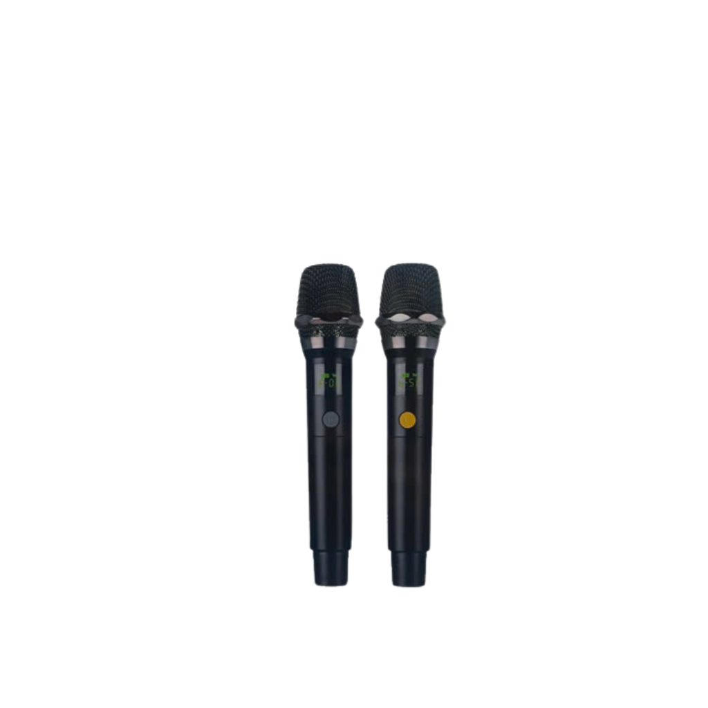 Loa tiệc tùng Festigo 8212 - 2 bass 20, hát karaoke di động 6 35