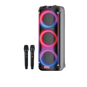 Loa tiệc tùng Festigo 8312 - 3 bass 20, hát karaoke di động 8 37