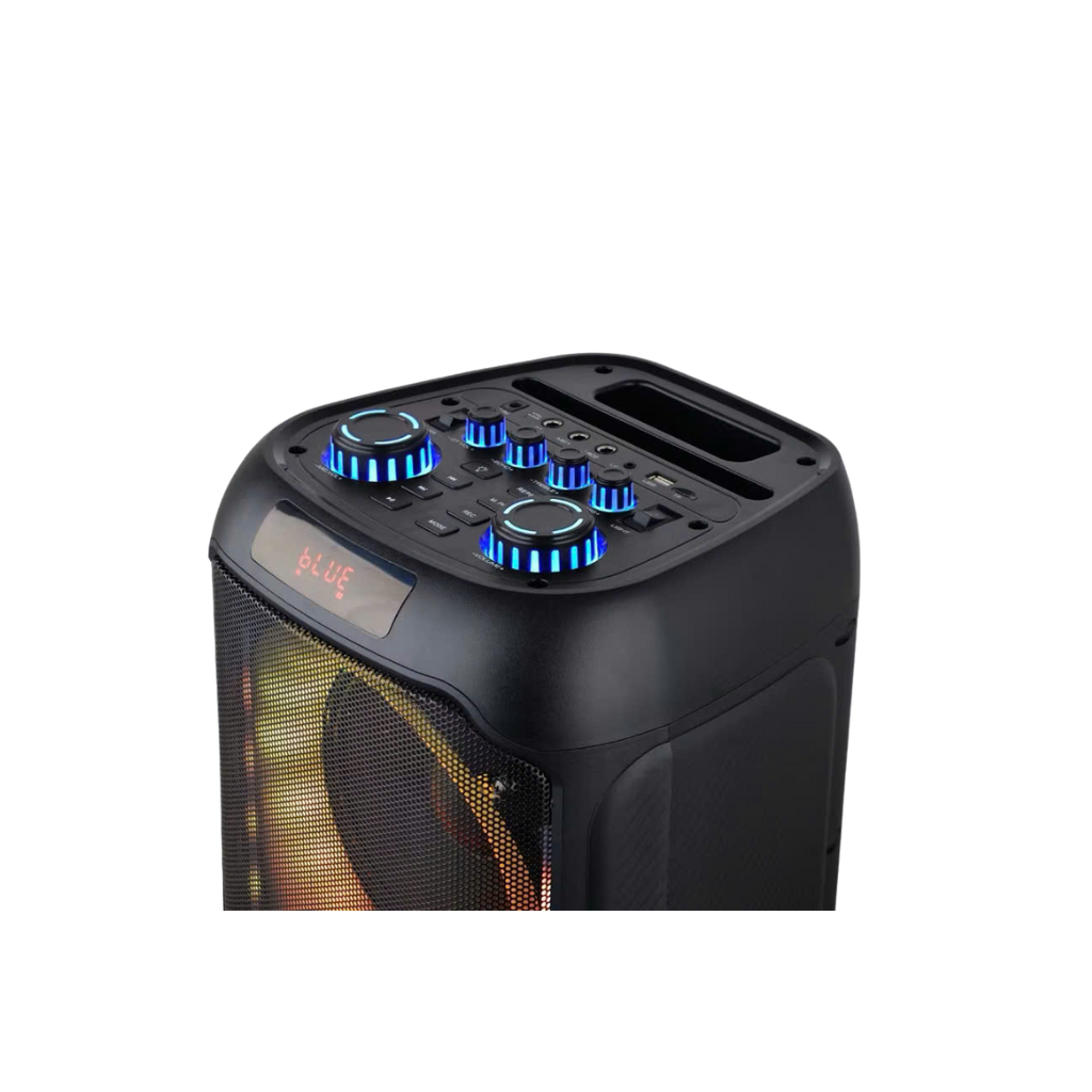 Loa tiệc tùng Festigo 8312 - 3 bass 20, hát karaoke di động 3 38