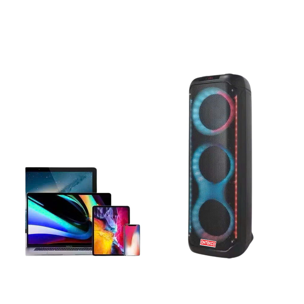 Loa tiệc tùng Festigo 8312 - 3 bass 20, hát karaoke di động 4 41