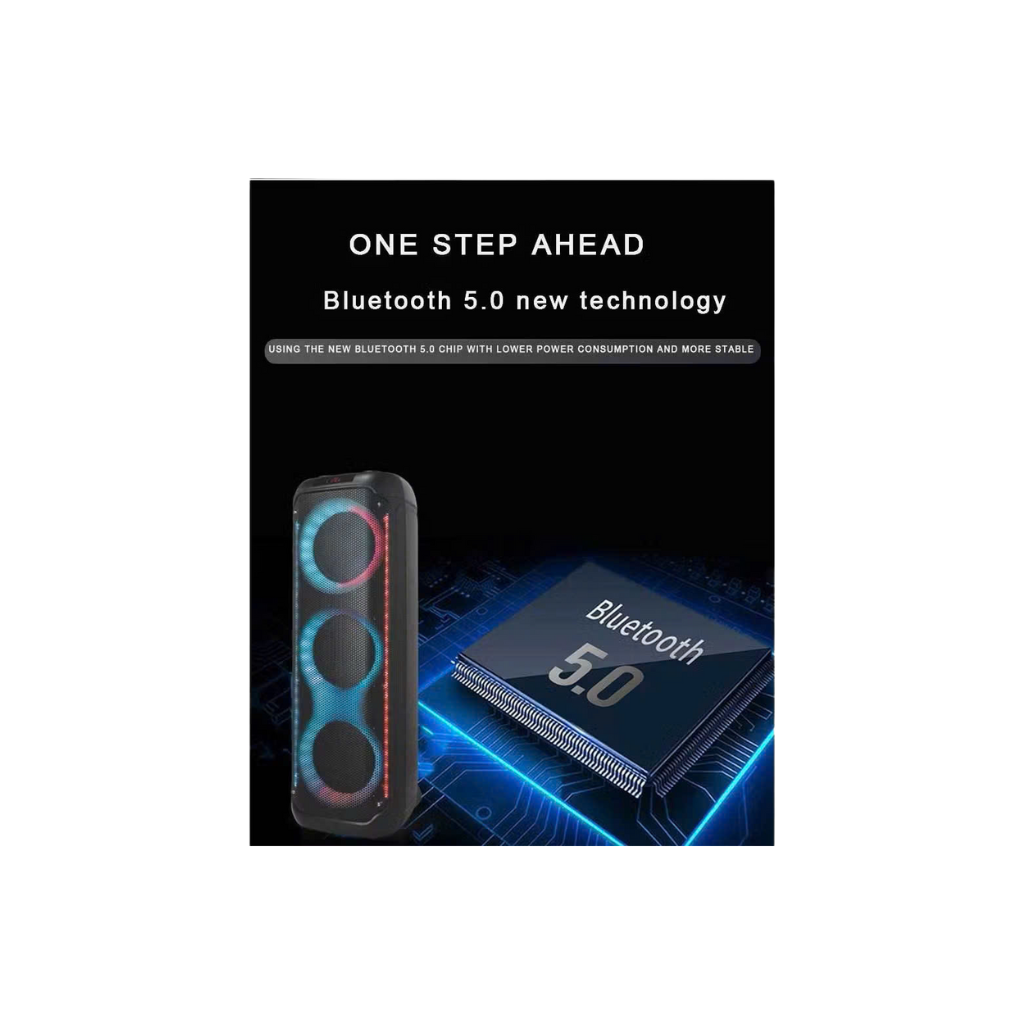 Loa tiệc tùng Festigo 8312 - 3 bass 20, hát karaoke di động 5 42