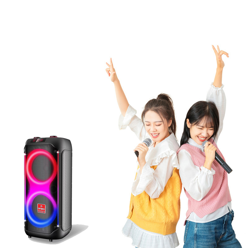 Loa tiệc tùng Festigo 8212 - 2 bass 20, hát karaoke di động 13 O1CN01wnRuW21blnYxfLvQl 2097723506 0 cib