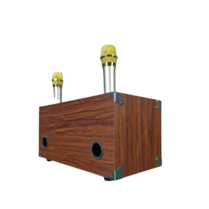 Loa kéo gỗ xách tay ONTEKCO 2652-2 bass 16cm 9 Thiet ke chua co ten 100