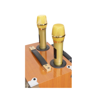 Loa kéo gỗ hát karaoke ONTEKCO 8002 Gold Bass 20cm 8 Thiet ke chua co ten 47