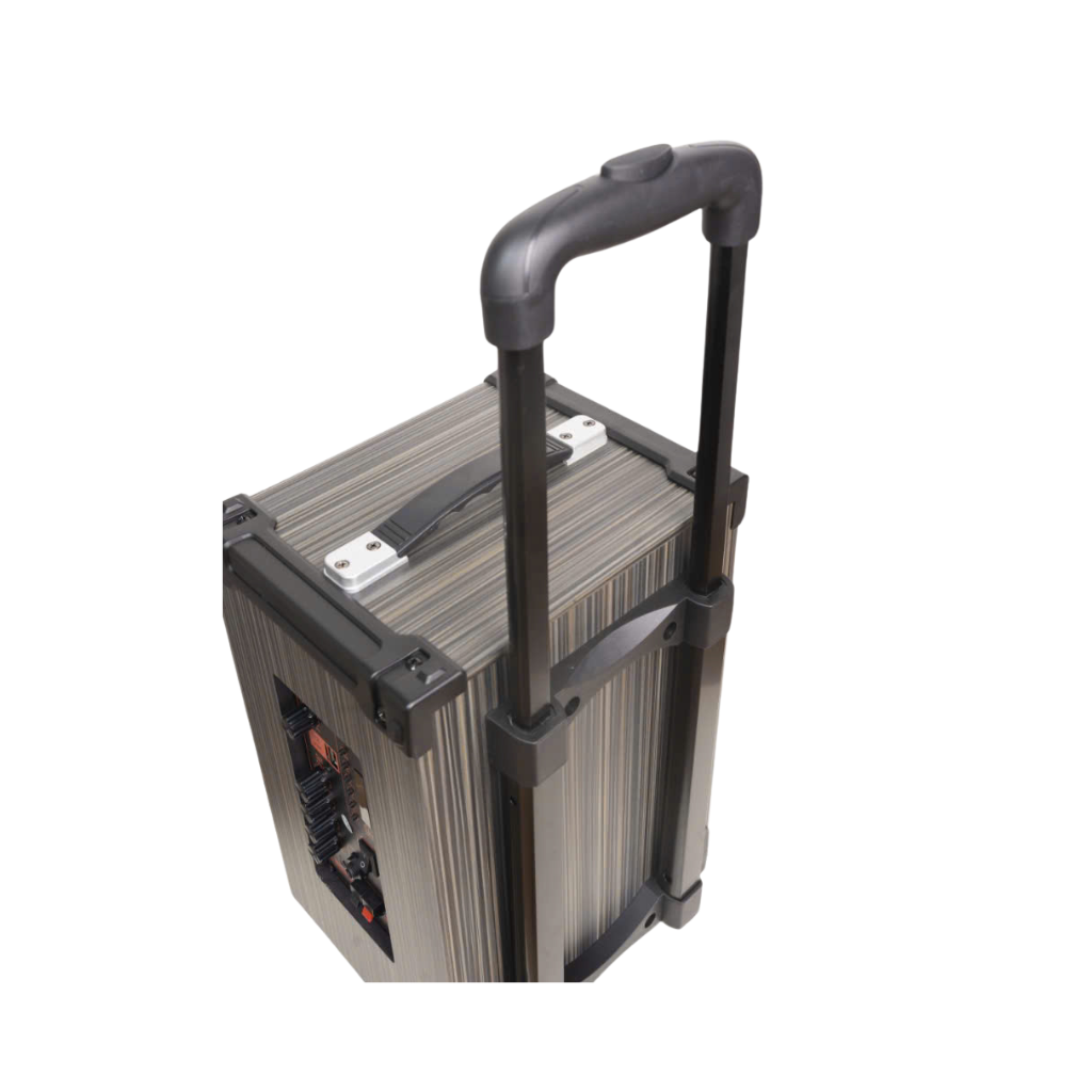 Loa kéo hát karaoke vỏ gỗ Ontekco 8001,bass 20 kèm 1 mic. 3 Thiet ke chua co ten 51