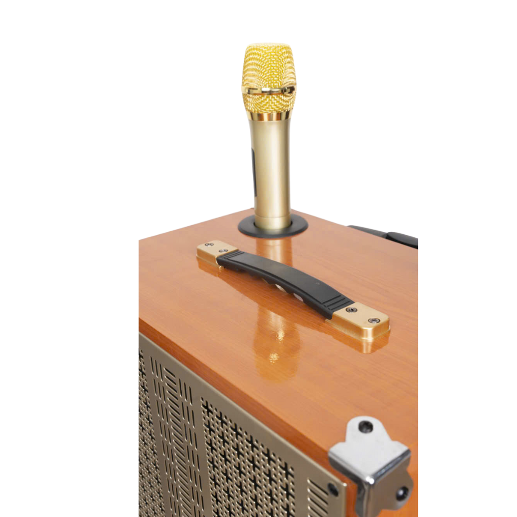 Loa kéo hát karaoke vỏ gỗ ONTEKCO 1502 Gold Bass 40 4 Thiet ke chua co ten 58 1