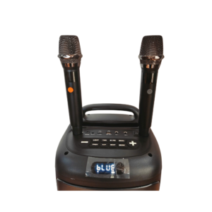 Loa tiệc tùng Festigo 6512 - 2 bass 20, hát karaoke di động 12 Thiet ke chua co ten 94