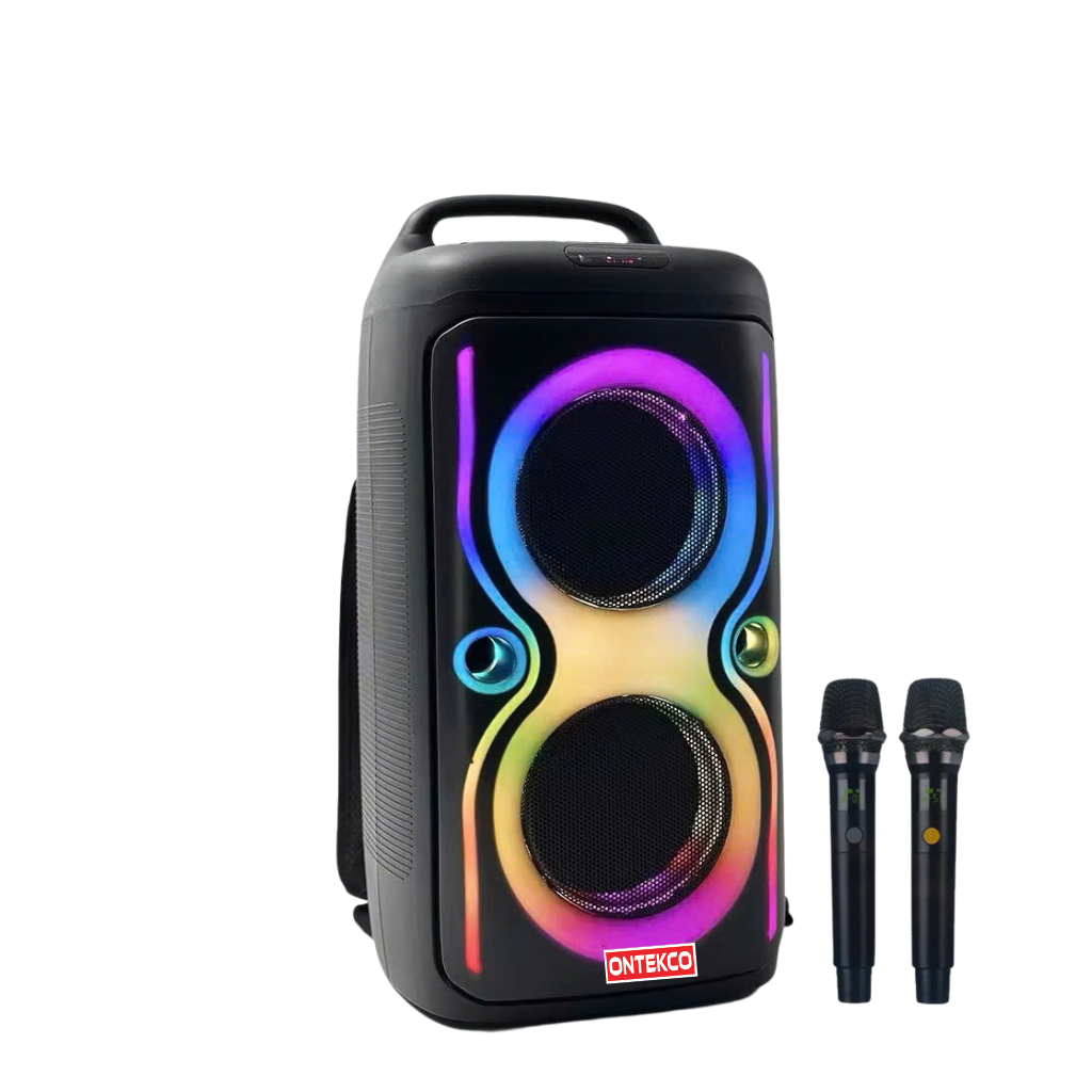 Loa tiệc tùng Festigo 6512 - 2 bass 20, hát karaoke di động 2 Thiet ke chua co ten 97