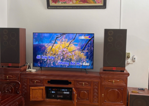 Bộ dàn Karaoke gia đình ONTEKCO F85Pro 26 bo vien thiet ke moi 16