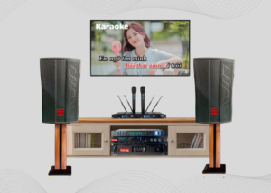 Loa full bass 30 ONTEKCO HK28 24 bo vien thiet ke moi 5