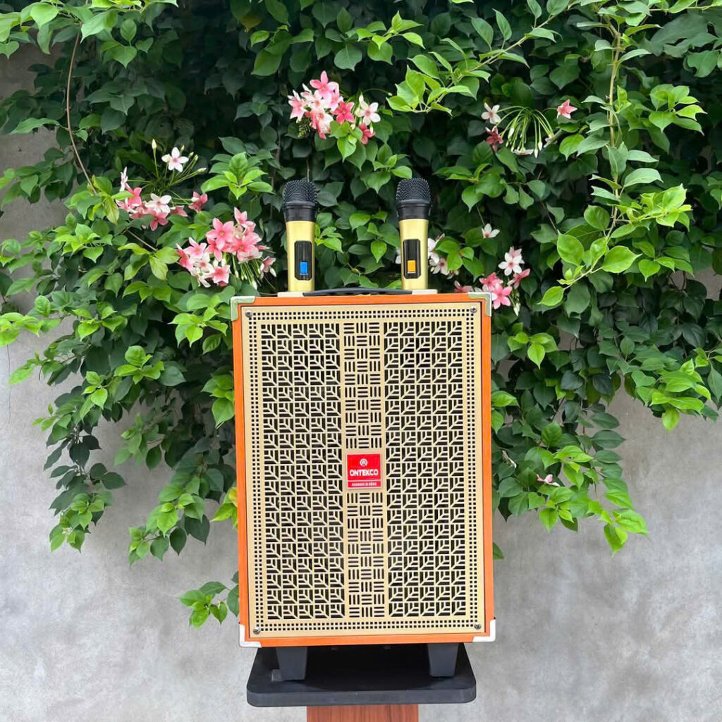 Chiếc loa xách tay Ontekco 8002s