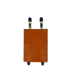 Loa xách tay karaoke ontekco 8002S,bass 20 kèm 2 micro 21 Thiet ke chua co ten 5