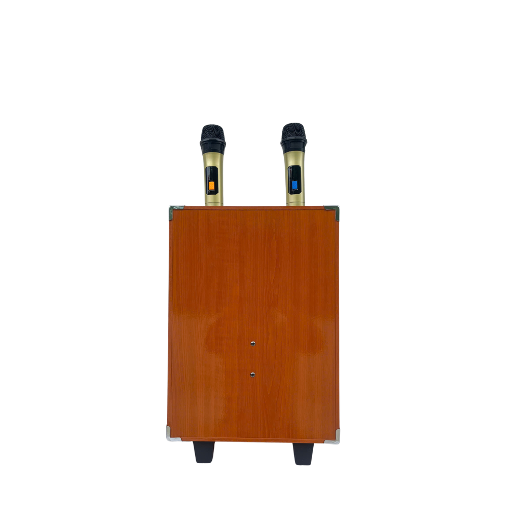 Loa xách tay karaoke ontekco 8002S,bass 20 kèm 2 micro 5 Thiet ke chua co ten 5