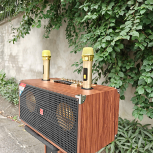 Loa xách tay karaoke Ontekco TX262- 2 bass 16-2 treble-kèm 2 micro không dây 8 Thiet ke chua co ten 13