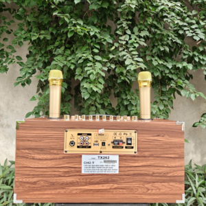 Loa xách tay karaoke Ontekco TX262- 2 bass 16-2 treble-kèm 2 micro không dây 10 Thiet ke chua co ten 15