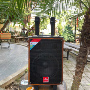 Thiet ke chua co ten 8